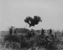 Image 2-6