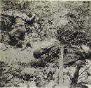 Image 2-4