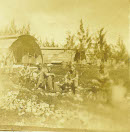 Image 2-82