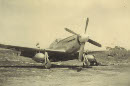 Image 2-4