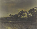 Image 2-4
